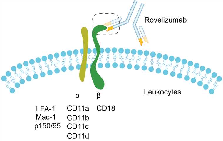 Rovelizumab Overview